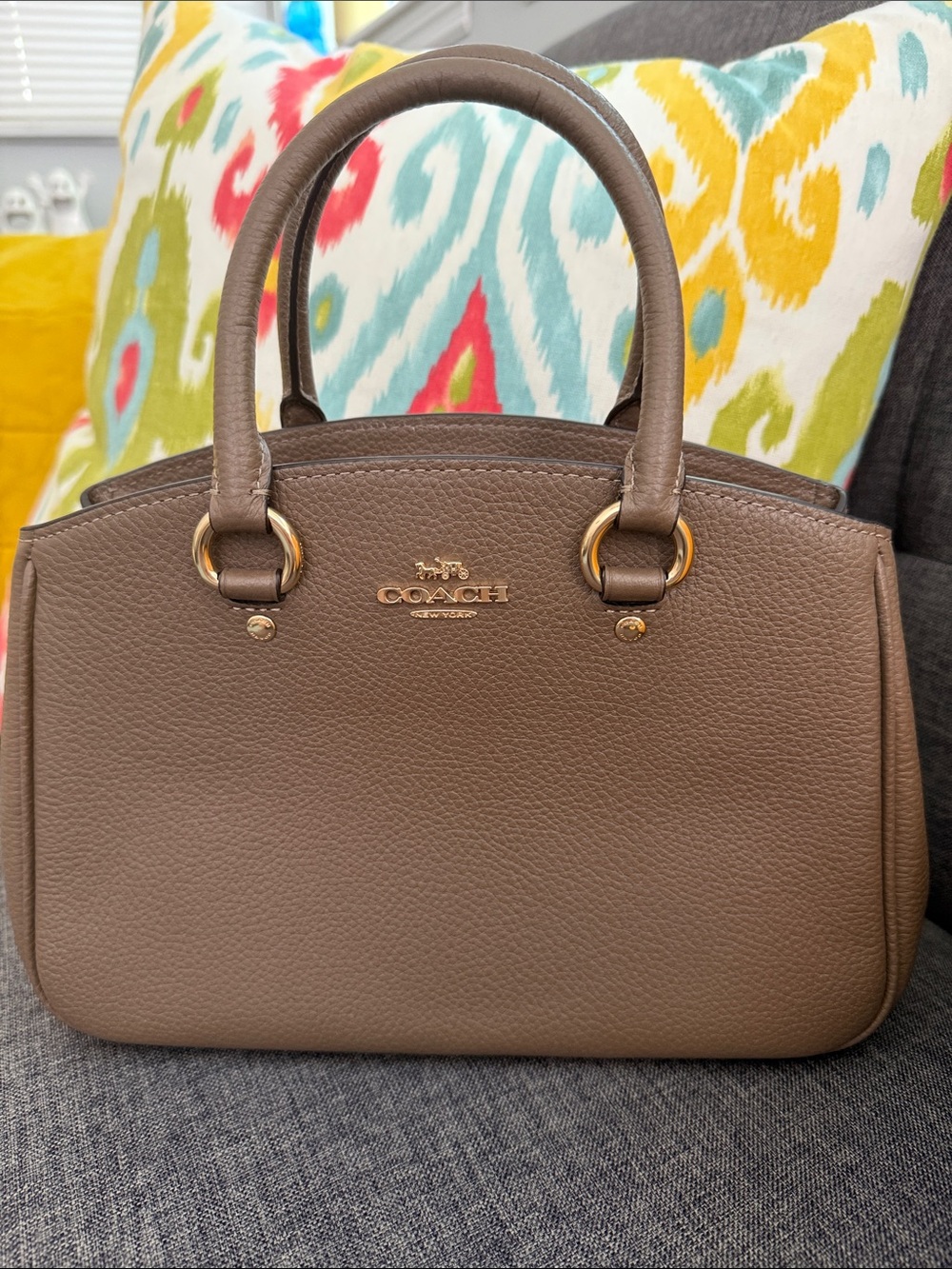 COACH Taupe dark stone Pebbled Leather Dome Satchel with Gold Hardware NWT